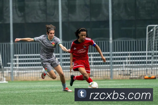 半岛网页版官网品牌故事