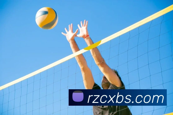 半岛网页版官网服务体系