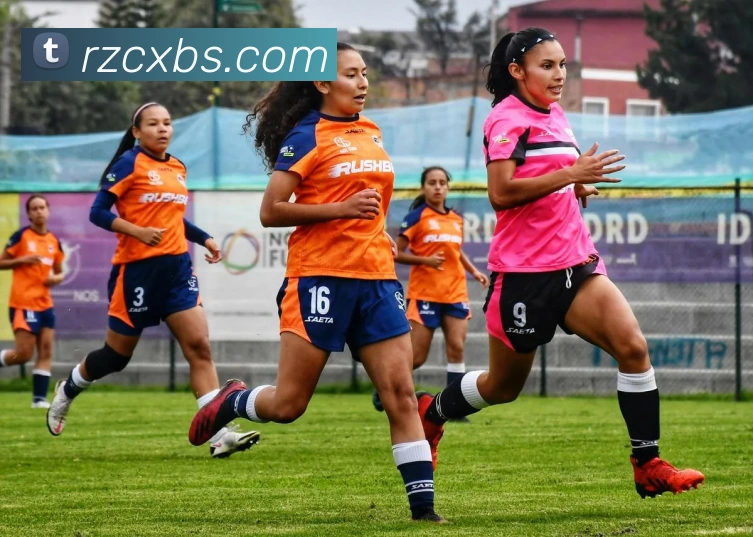 半岛网页版官网APP 体育赛事宣传图